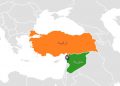 سیاسەتی ئابوری و بازرگانی تورکیا لە ناوچە داگیرکراوەکانی سوریا