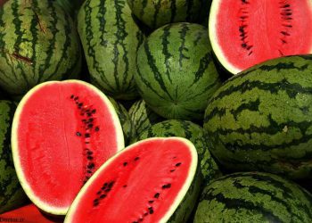 کێن ئەوانەی کە دەبێت کەمتر شوتی بخۆن؟