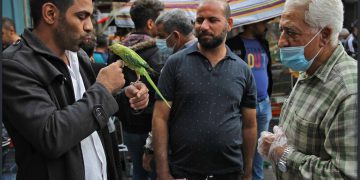 بانکی جیهانی چۆن باسی هیوا بە ژیان و ڕێژەی مردن لە عێراق دەکات؟