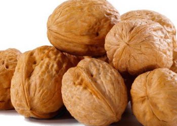 لە سەر خواردنی گوێز ئەم زانیارییە گرنگە بزانە