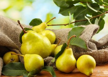 خواردنی هەرمێ سوود بە پێست دەگەێنێت