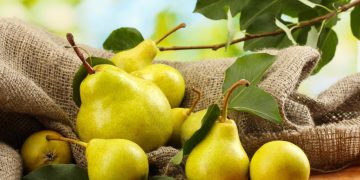 خواردنی هەرمێ سوود بە پێست دەگەێنێت