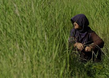 فێستیڤاڵێکی نەمسا دەرهێنەرێکی ئێرانی خەڵات کرد