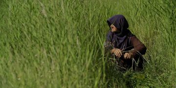 فێستیڤاڵێکی نەمسا دەرهێنەرێکی ئێرانی خەڵات کرد