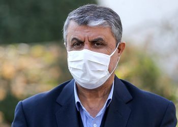 سەرۆکی ڕێکخراوی وزەی ناوەکی ئێران گەیشتە ڤیەننا