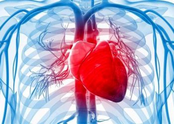 چۆن لە سستبوونی دڵ ئاگادار بین؟