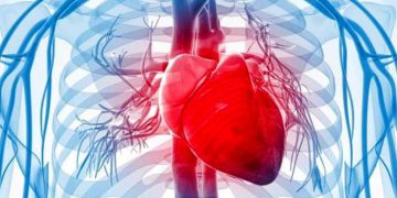 چۆن لە سستبوونی دڵ ئاگادار بین؟