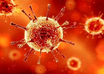 ئایا کۆرۆنای 2022 بەڕێوەیە؟