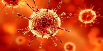 ئایا کۆرۆنای 2022 بەڕێوەیە؟