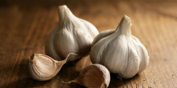 خواردنی سیر بۆ ئەم کەسانە باش نییە