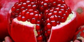 توێکڵی هەنار بۆ جوانکاری خانمان بەسوودە