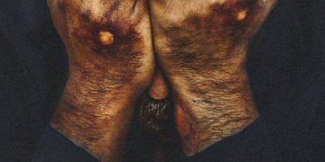 بۆ یەکەم جار؛ فیلمی ئێرانیی دارگوێز لە هەرێمی کوردستان نمایش دەکرێت