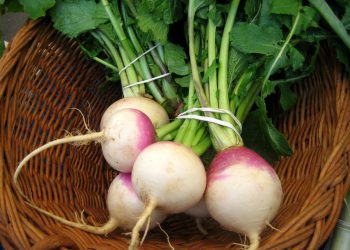 بە خواردنی شێلم ڕێگری لە شێرپەنجە بکەن