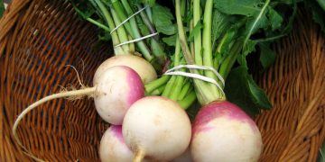 بە خواردنی شێلم ڕێگری لە شێرپەنجە بکەن