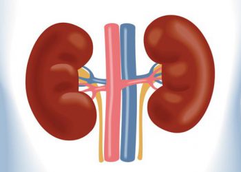 ئەگەر لە خەمی پاراستنی گورچیلەکاندای، ئەم هەشت خاڵە لە بەرچاو بگرە
