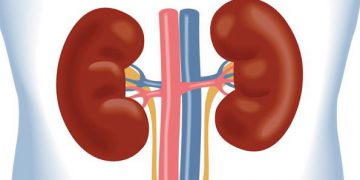 ئەگەر لە خەمی پاراستنی گورچیلەکاندای، ئەم هەشت خاڵە لە بەرچاو بگرە