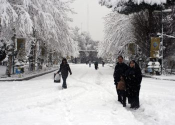 لە زستاندا گرنگی بە کام خواردن بدەین؟