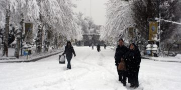 لە زستاندا گرنگی بە کام خواردن بدەین؟