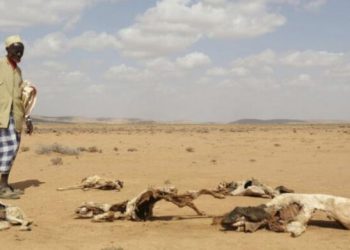 قەیرانی ئاو و خۆراک لە باشوری سۆمالیا