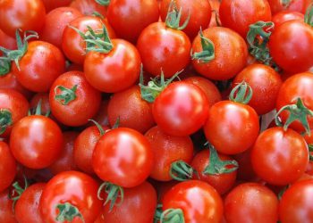 سوودە تەندرووستییەکانی خواردنی تەماتە، لە دابەزینی کێشەوە تا نەهێشتنی کڕێشی سەر