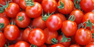 سوودە تەندرووستییەکانی خواردنی تەماتە، لە دابەزینی کێشەوە تا نەهێشتنی کڕێشی سەر