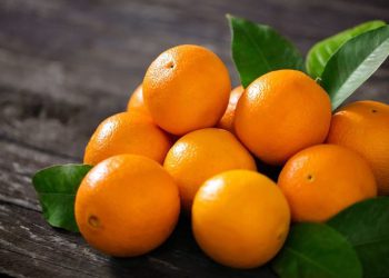 لە سەر خواردنی پرتەقاڵ ئەم زانیارییانە بزانە