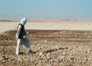 نەتەوە یەکگرتووەکان: زیاتر لە 18 ملیۆن ئەفغانی ناتوانن خۆراکی پێویستی ڕۆژانەی خۆیان دابین بکەن