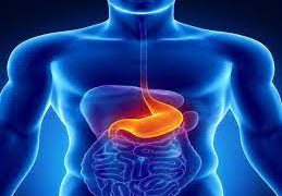 بە گەدەی بەتاڵ واز لە چەند خویەکی ڕۆژانە بێنە