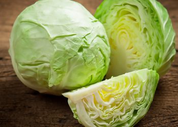 کەلەرم دژی شێرپەنجە شەڕ دەکات