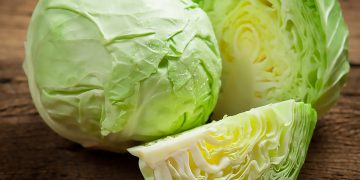 کەلەرم دژی شێرپەنجە شەڕ دەکات