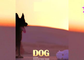 «سەگ» دەڕوات بۆ ئەمریکا