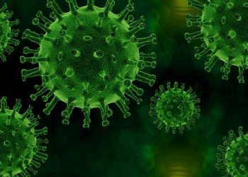 ژمارەی توشبووانی کۆرۆنا لە جیهان 300 ملیۆن کەسی تێپەڕاند