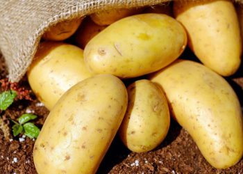 ئێران قەدەغەی هەناردەی پەتاتەی ڕاگەیاند