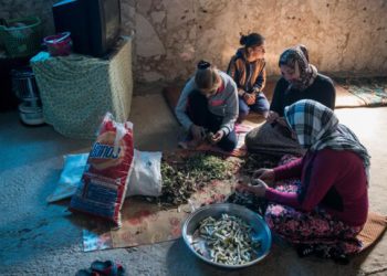 نەتەوە یەکگرتووەکان: 2 ملیۆن عێراقی خۆراکی گونجاویان بۆ دابین ناکرێت