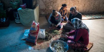 نەتەوە یەکگرتووەکان: 2 ملیۆن عێراقی خۆراکی گونجاویان بۆ دابین ناکرێت