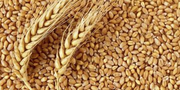 ئێران ئامادەیە گەنمی لوبنان دابین بکات