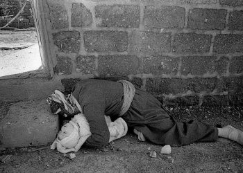 عومەری خاوەر، سیمبولی زیاتر لە نەتەوەیەک