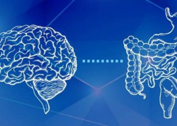 ڕیخۆڵە مێشکی دووەمی ئێوەیە