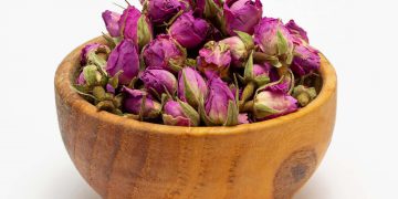 تایبەتمەندییەکانی گوڵی سور، لە دابەزینی کێش تا چارەسەرکردنی شەکرە