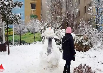 سەرکەوتنی «دڵی بەفری» لە ئەمریکا