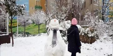 سەرکەوتنی «دڵی بەفری» لە ئەمریکا