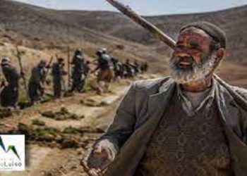 «میراو» لە فێستیڤاڵی وێنەگری «مایالۆیس»دا