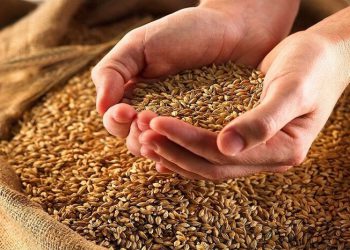 ئاسیا و مەترسییەکانی شەڕی ئۆکرانیا لە سەر ئاسایشی خۆراک