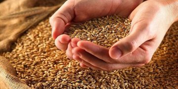 ئاسیا و مەترسییەکانی شەڕی ئۆکرانیا لە سەر ئاسایشی خۆراک