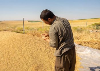 تێڕوانینێک لە سەر پرسی ئاسایشی خۆراک لە هەرێمی کوردستان و عێراق