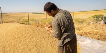 تێڕوانینێک لە سەر پرسی ئاسایشی خۆراک لە هەرێمی کوردستان و عێراق