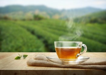 تا چەندە لە سەر تەندرووستی خواردنی چا دەزانین؟