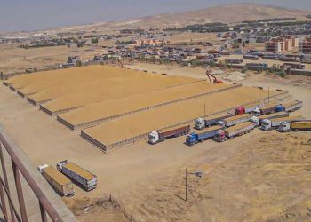 عێراق بڕیاری کڕینی بڕێکی زۆر گەنمی دەرکردووە