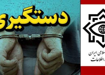 سیخوڕێکی سویدی لە ئێران دەستبەسەر کرا