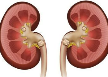 ئەو زیانەی کە پەستانی خوێن بە گورچیلەکانی دەگەێنێت